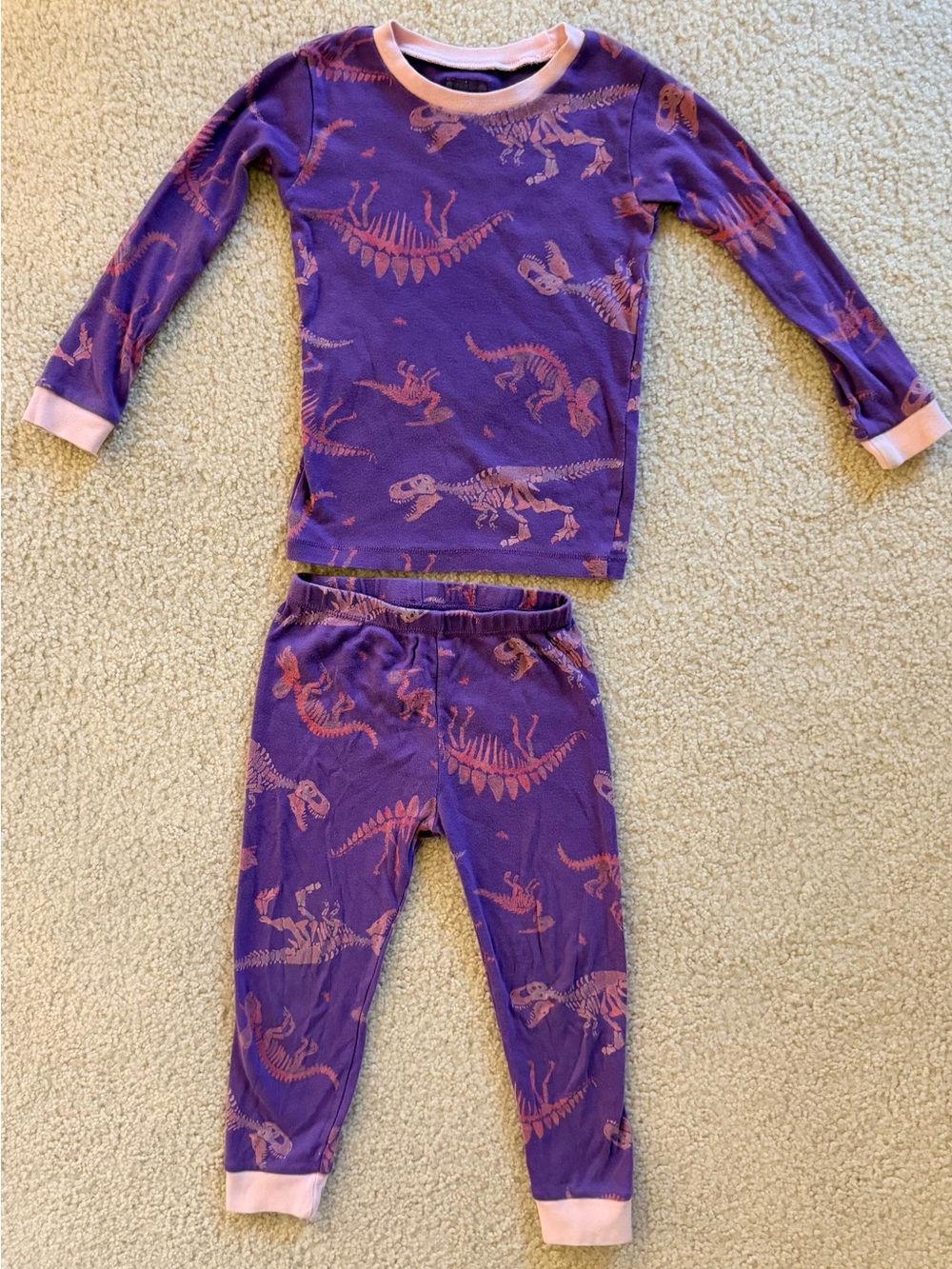 Burt’s Bees Baby 3T Girls Dinosaur Pajama Set